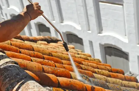 Nettoyage de toitures - Chavigny